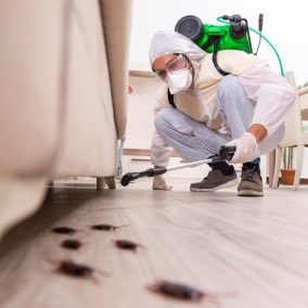 Pest control contractor working in the flat Pest control contractor working in the flat