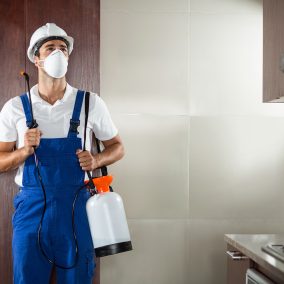 Front view of pest worker spraying standing in kitchen at home Front view of pest worker spraying standing in kitchen at home